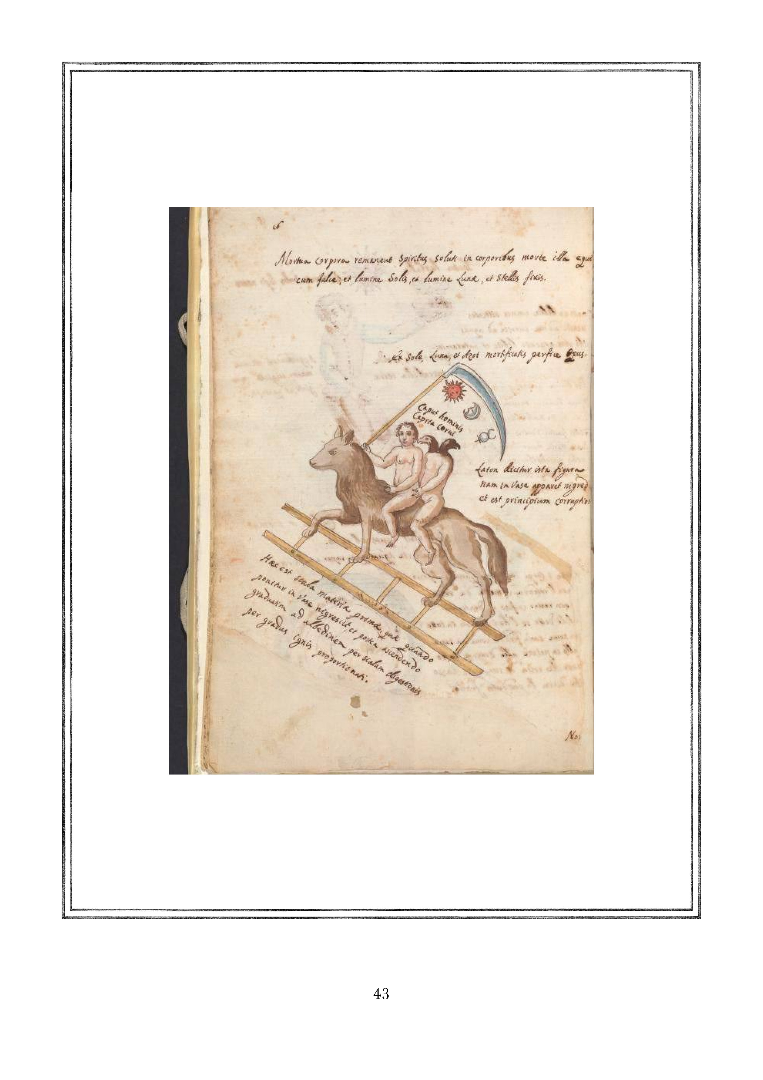 Page 43.jpg