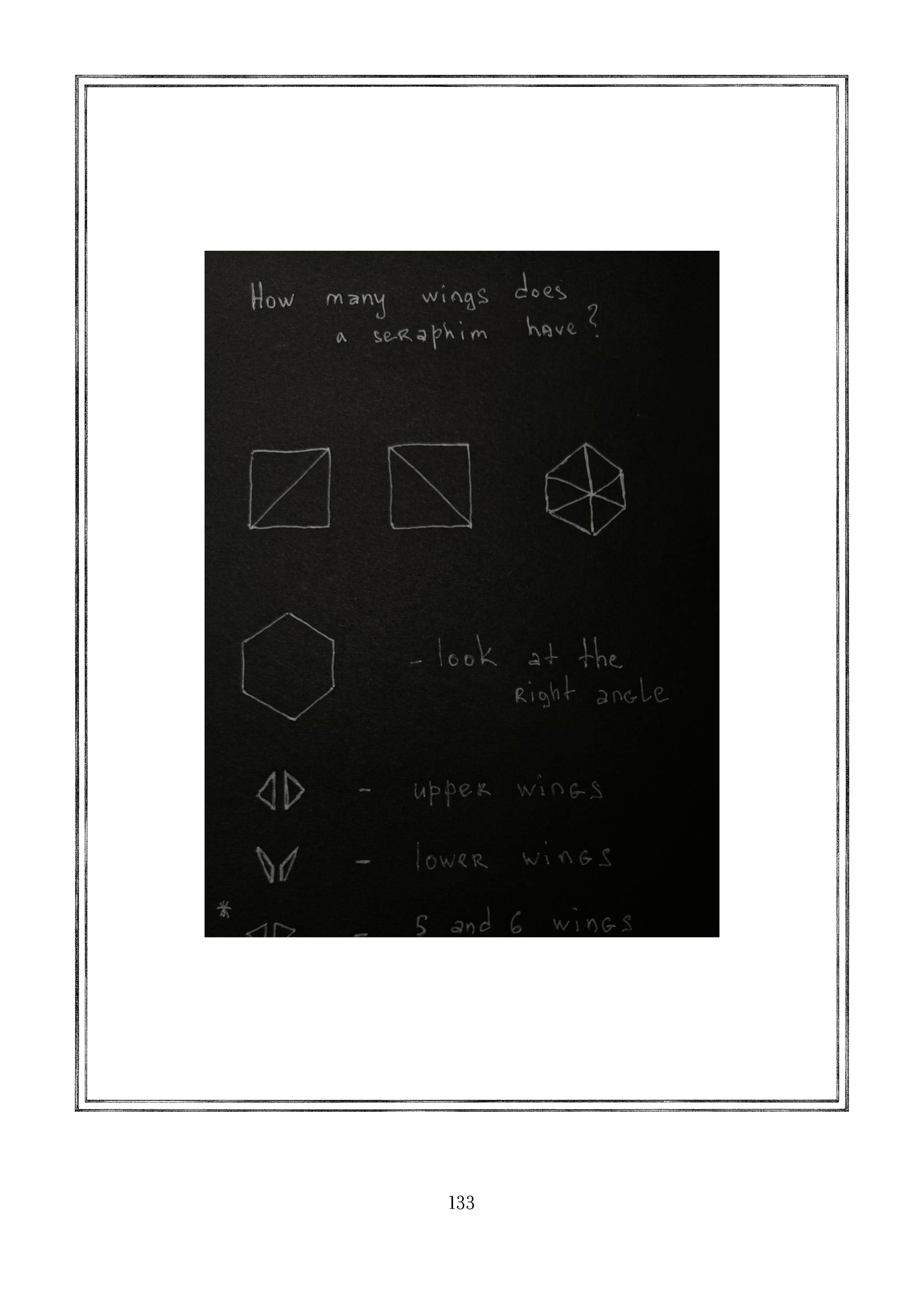 Page 133.jpg