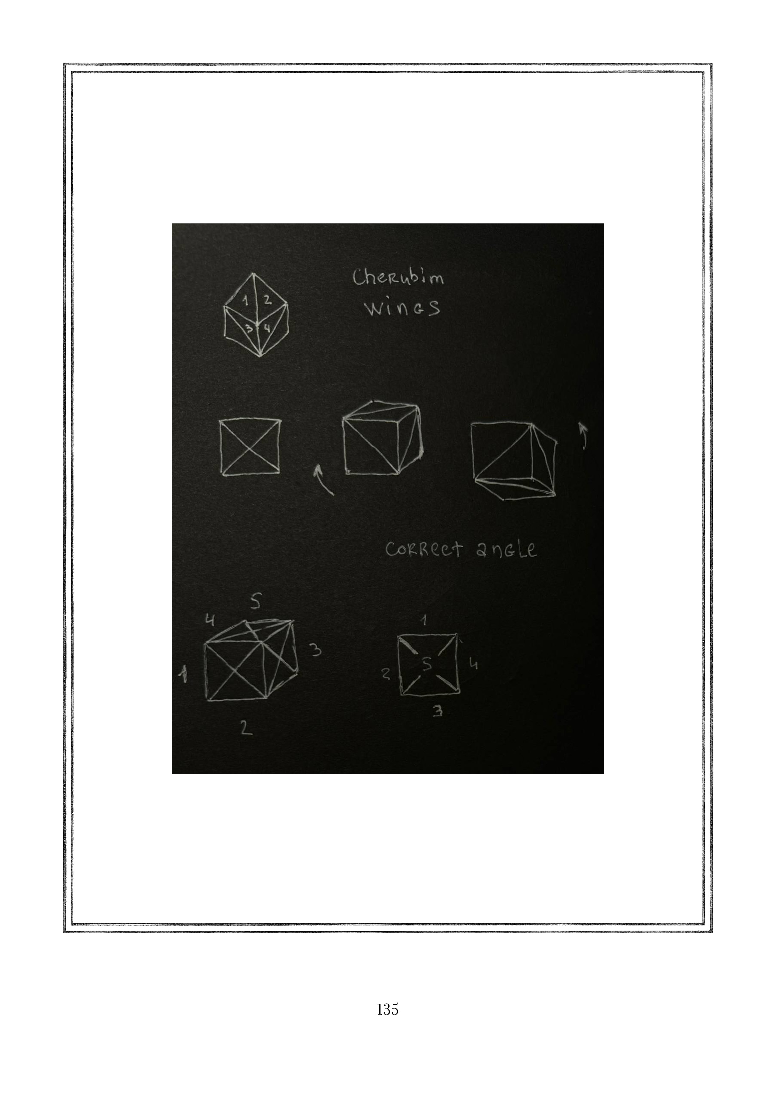 Page 135.jpg