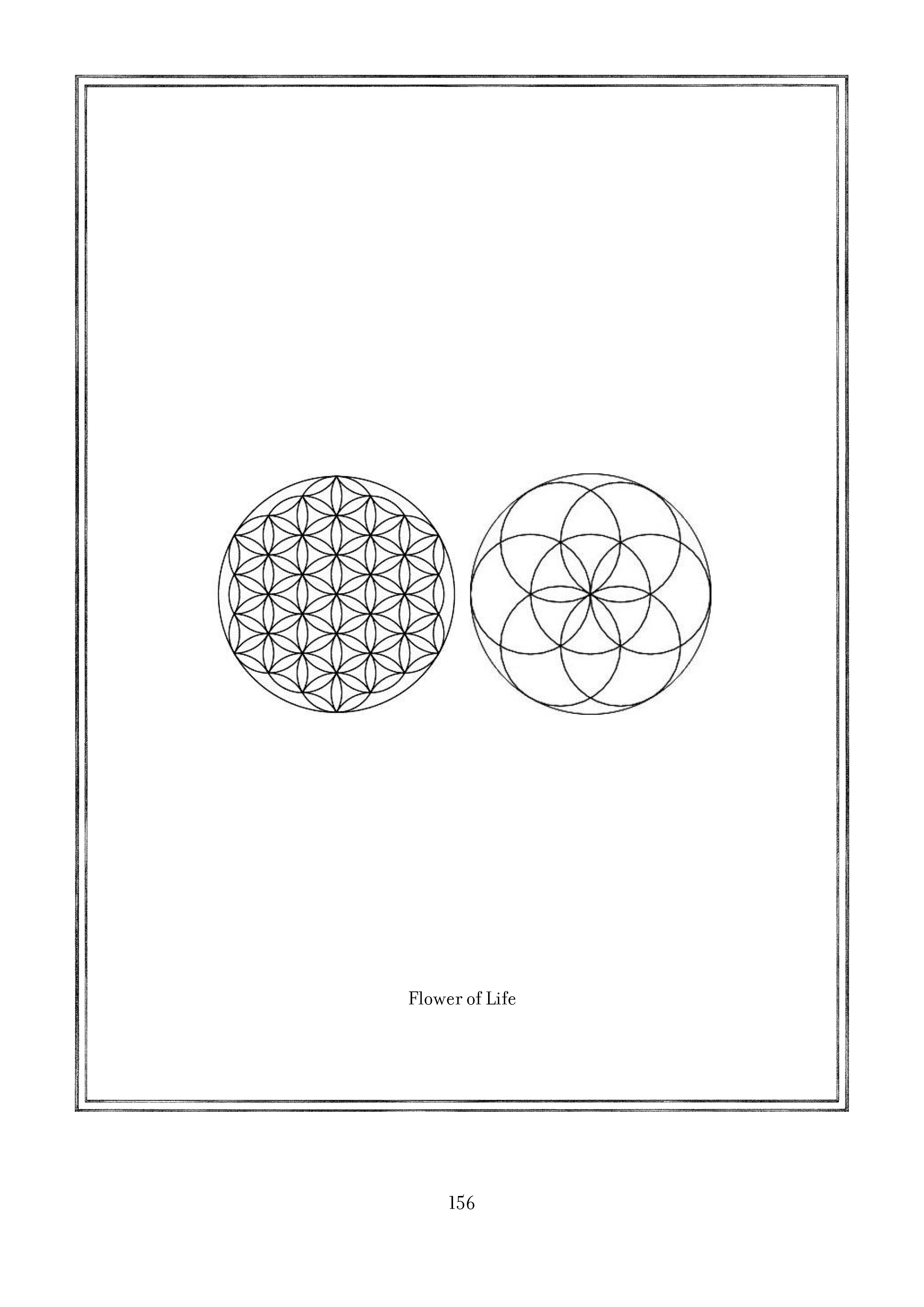 Page 156.jpg