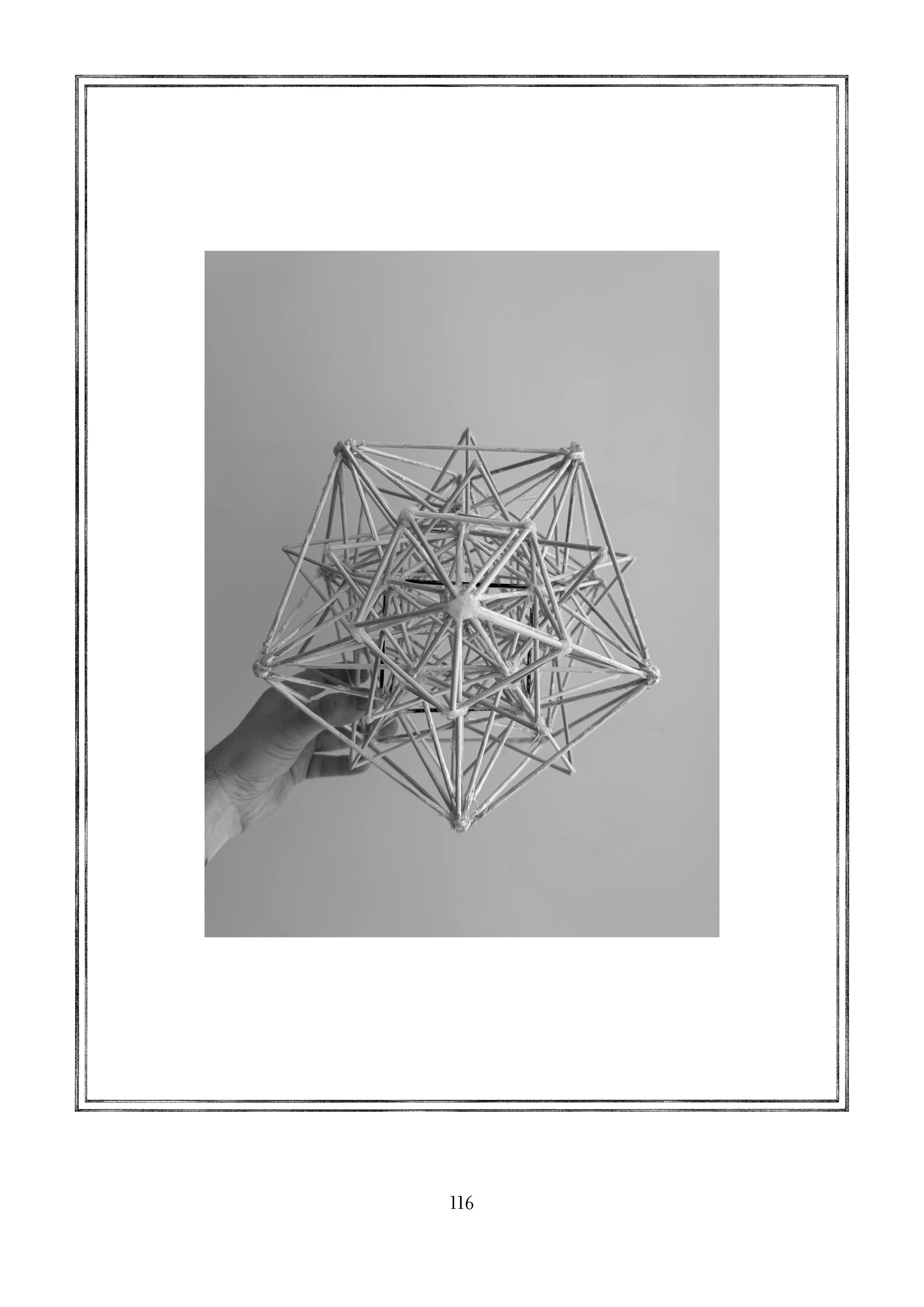Page 116.jpg